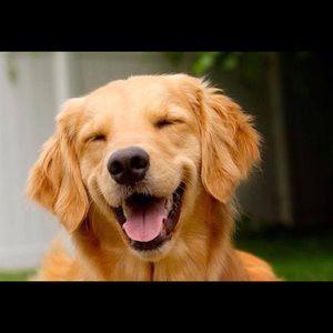 Meet your Posher, Nelson